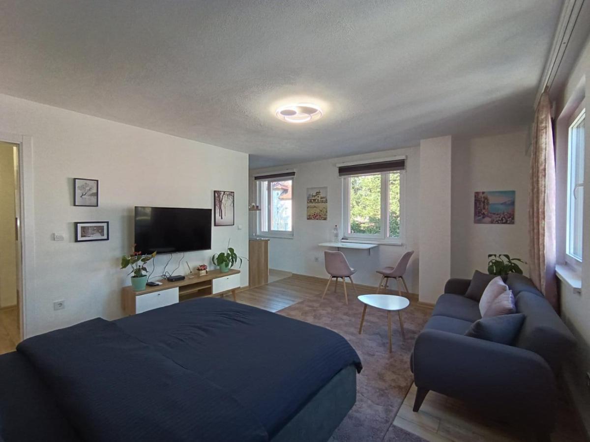 Apartment Ilidza Park *