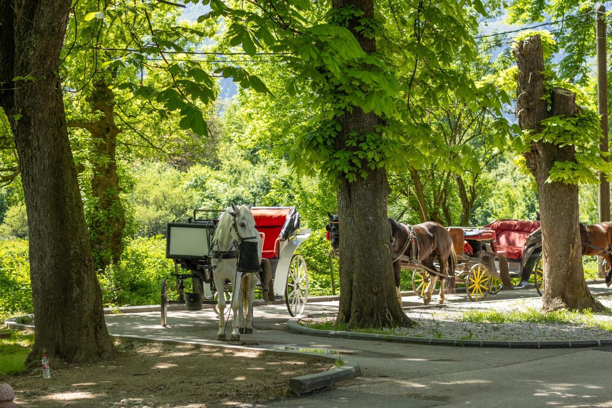 Ilidza Park سراييفو